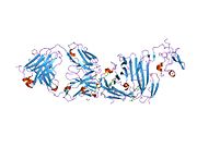2fd6: Structure of Human Urokinase Plasminogen Activator in Complex with Urokinase Receptor and an anti-upar antibody at 1.9 A