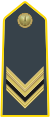 Vice Brigadier (Sovrintendenti - Vice Brigadiere) (Sergeant)