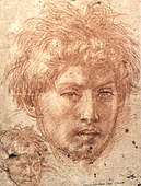 Head of a man, by Andrea del Sarto