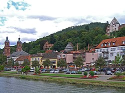 View of Miltenberg over the Main river