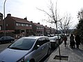 Typical street -Pio Baroja