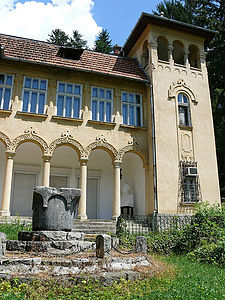 Ciucea castle