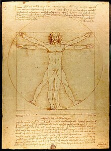 Der vitruvianische Mensch (Leonardo da Vinci)