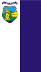 Flag of Delčevo Municipality