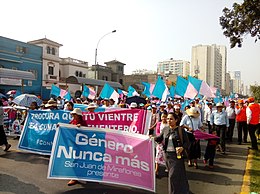Anti-gender march in Lima, Peru