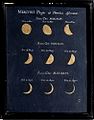 Phase of Mercury Observed by Johannes Hevelius