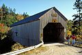 Forty Five River No. 1 covered bridge