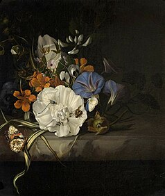Posy of flowers, with insects and butterflies, on a marble ledge, 1690s