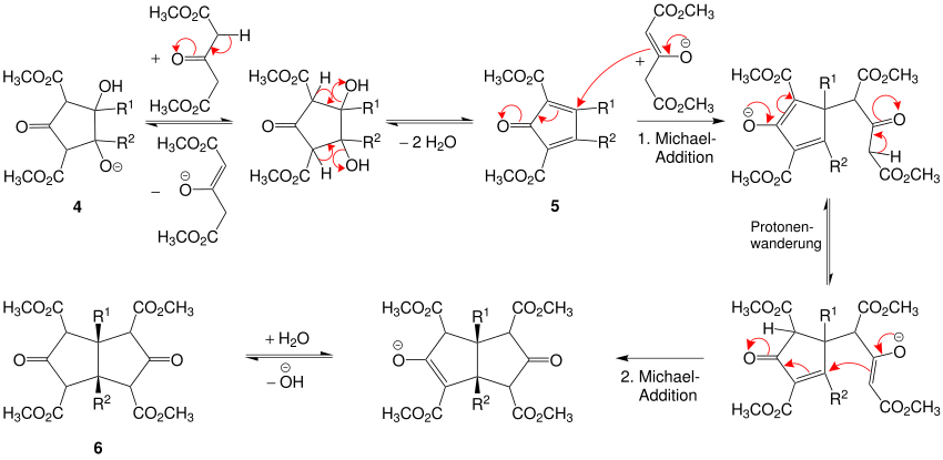 Mechanismus der Weiss-Reaktion, inter- und intramolekulare Michael-Additionen