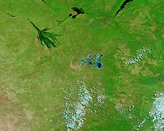 Water is black in this false-colour image of the Zambezi flood plain.