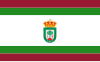 Flag of Hinojos