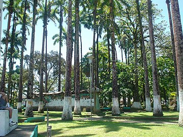 Inside the Balvanero Vargas Park
