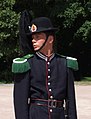 Royal Guardsman in Oslo, Norway