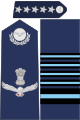 Marshal of the Indian Air Force rank insignia