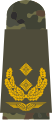 Generalmajor (Luftwaffenuniform)