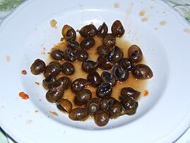 Monacelle (land snail species Cantareus apertus)