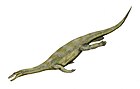 Nothosaurus mirabilis