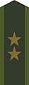 Collar patch m/58 for a lieutenant