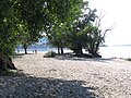 The beach of Bela Stena