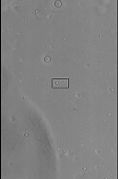 CTX context image for next image taken with HiRISE. Box indicates image footprint of following image.