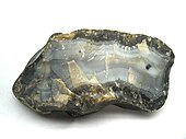A chunk of agate in grayish and golden colors with the split face showing internal fortification banding along with a black dendritic formation.