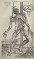 Image 30Vesalius's intricately detailed drawings of human dissections in Fabrica helped to overturn the medical theories of Galen. (from Scientific Revolution)