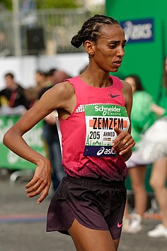Zemzem Ahmed (2014)