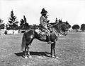 A trooper of the New South Wales Mounted Rifles, c. 1900.