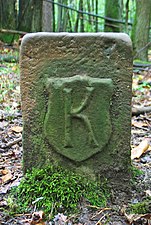 Photograph of a raised stone marked with a capital K in the middle of a forest.