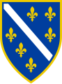 Als Könige von Bosnien. Mit blauem (statt rotem) Grund und Königslilien erstmals belegt im Korenić-Neorić Armorial (1595) als Wappen der Tvrtkovići (= Nachfolger von Tvrtko I.).