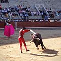 Tercio de banderillas: El Banderillero stabs the banderillas on the back of the bull.