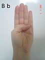 An ASL 'B'