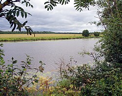Mertvitsa River in Kingiseppsky District