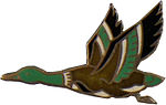 Insignia of a flying duck