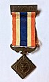 Safeguarding the Constitution Medal