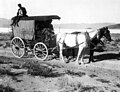 U.S. Geological Survey outfit enroute Blair to Silverpeak. Silver Peak quadrangle. Esmeralda County, Nevada. 1912.