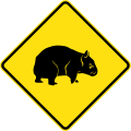 (W5-48) Wombats Crossing