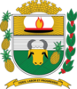 Coat of arms of João Ramalho