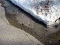 Over a week after the storm in Chester County, Pennsylvania, melted snow refreezes into ice on a street.