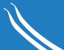 Flag of Alvdal Municipality