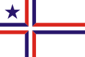 Flagge von Palotina (Paraná, Brasilien)