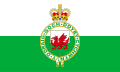 Flag depicting the Royal Badge of Wales after its augmentation of honour, used 1953–1959