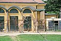 Giraffengehege im Tiergarten Schönbrunn.