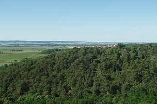Blick aus Richtung Gläserner Mönch in den Thekenbergen vorbei an Halberstadt zum Huy im Hintergrund
