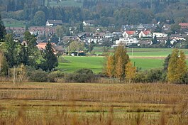 Irgenhausen as seen from Auslikon (April 2010)