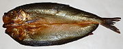 A kipper is a herring which has been split from tail to head, eviscerated, salted, and smoked.
