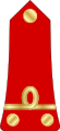 Lieutenant (Madagascar Ground Forces)[53]