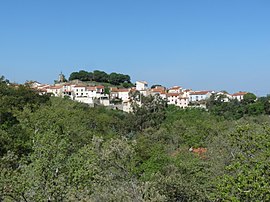 A general view of the village and castle of Montesquieu-des-Albères