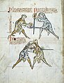 Fol. 4v of Royal Armouries MS I.33, a combat manual on fighting with sword and buckler, c. 1300.
