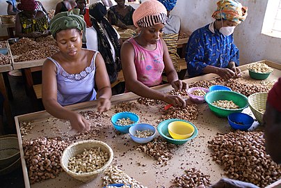 Women shelling cashews in Burkina Faso, West Africa